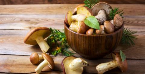 All You Need to Know About Shiitake Mushrooms Shiitake mushrooms