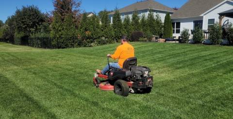 Electric Lawn Mowe Electric Lawn Mowe