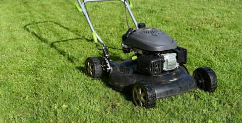 Mower for garden