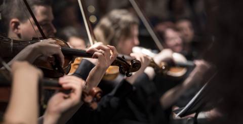 Violin Violin