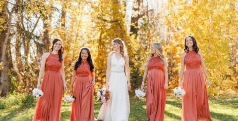 Wedding guest dress Wedding guest dress