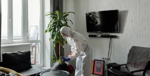 Cleaner Cleaner