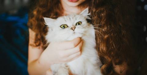 Pet owner Pet owner