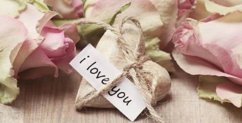 Rose day Rose day