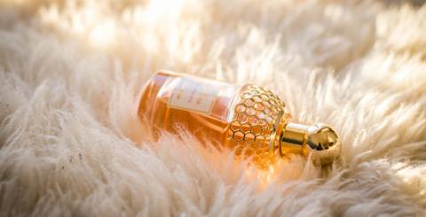 Things to Expect from Wholesale Perfume Distributors