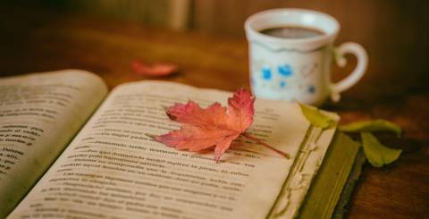 Leaves, Coffee cup, Coffee image.