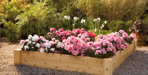 Raised Flower Bed