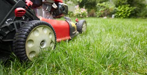 Red Lawn Mower Cutting the Lawn