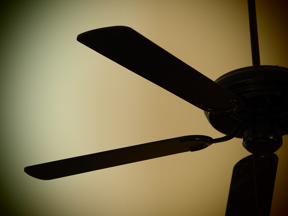 Housekeeping Chore No 4 – Cleaning the Ceiling Fan