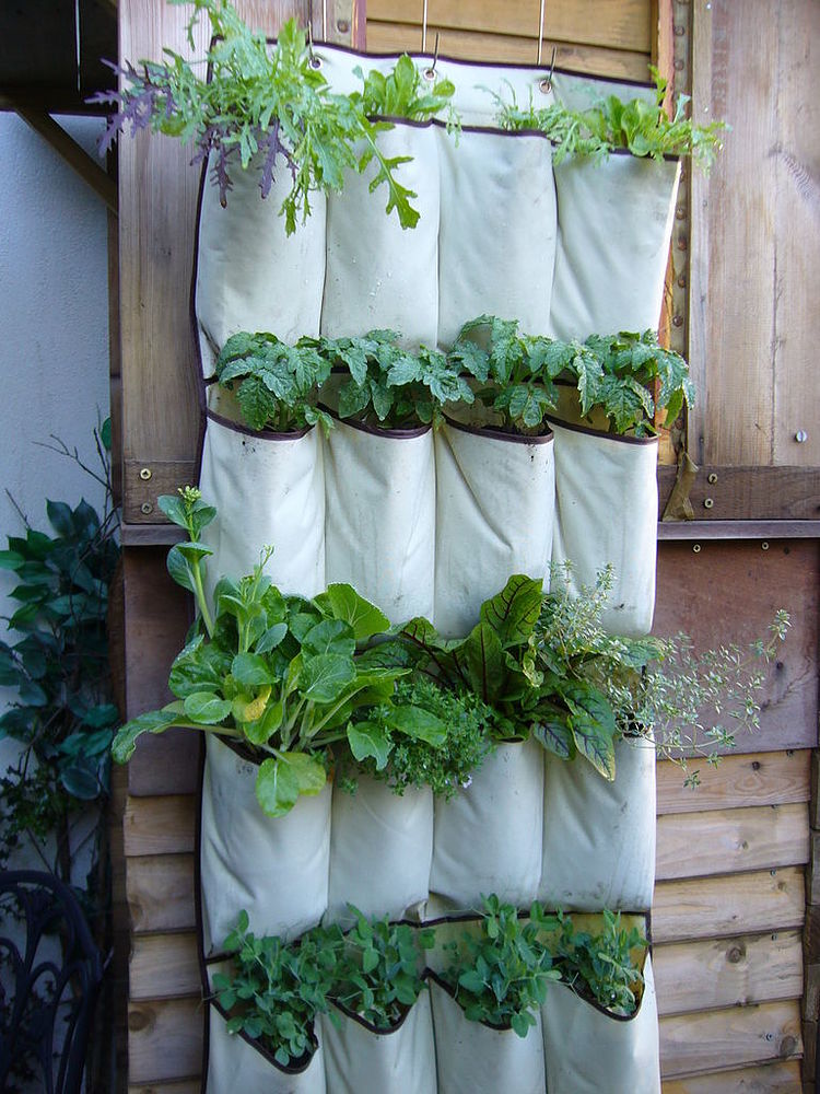 vertical garden